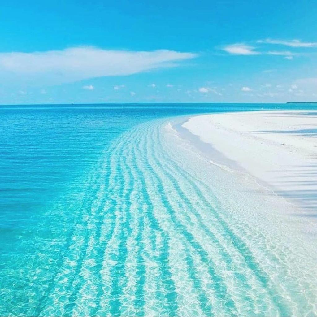 Il Gelso Casa vacanze
