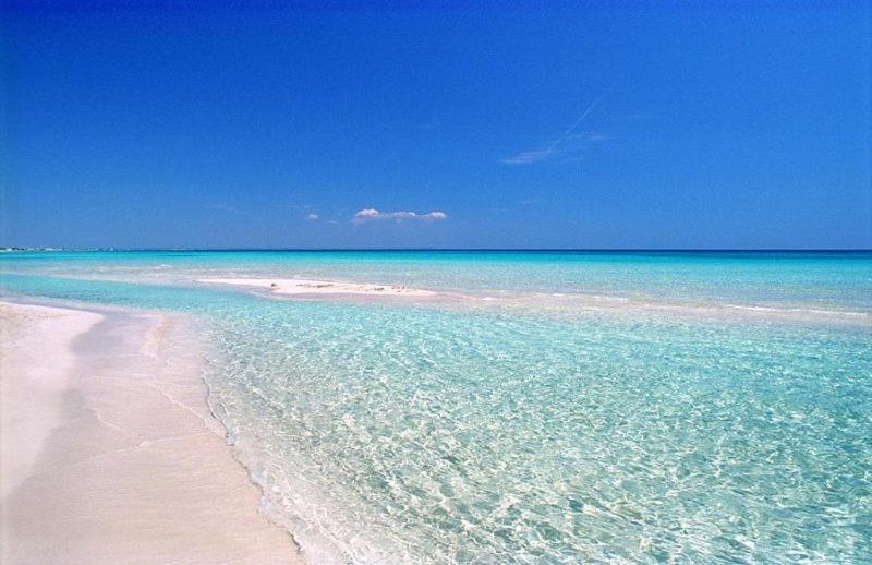 Casa vacanze Il Gelso